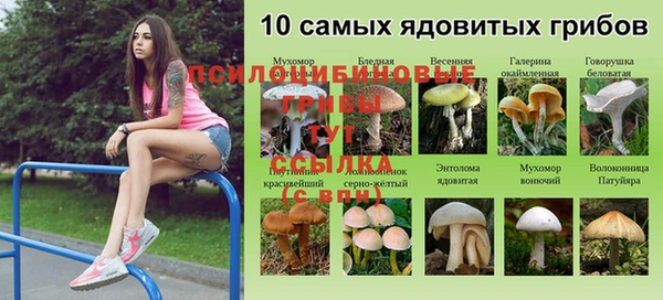 хмурый Горно-Алтайск