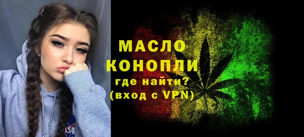 метадон Ельня